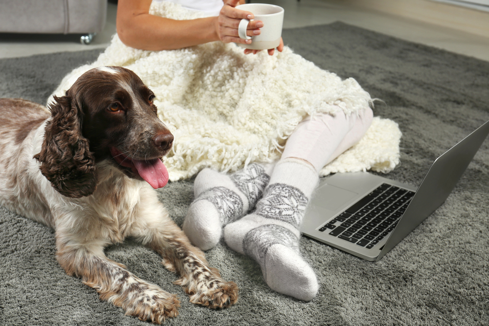 woman working on laptop with dog